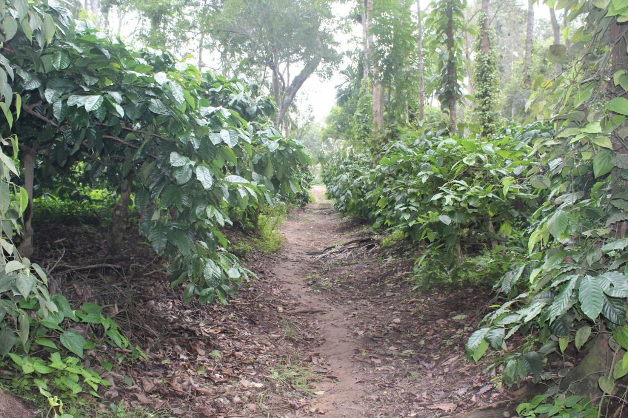 Whistling Woods Farm Stay Kushālnagar المظهر الخارجي الصورة